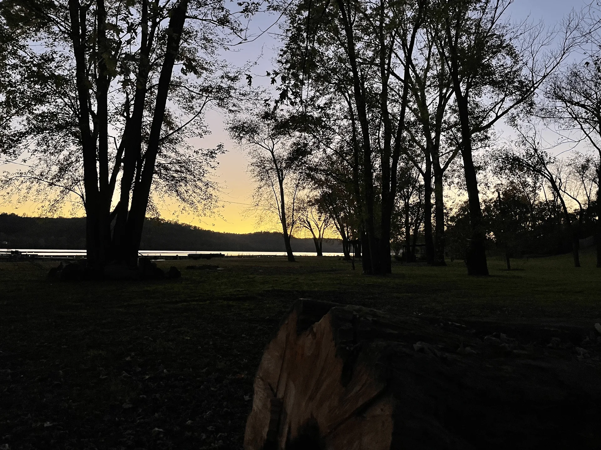 Shady Rest Lake View